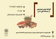 کارگاه آموزشی تدابیر فصل پاییز از دیدگاه طب سنتی در خانه فرهنگ شمشیری