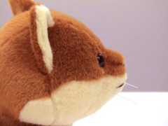 （写真：アップ3）