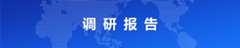 调研报告