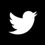 Twitter Icon
