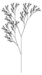 plant-like-structure