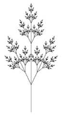 Branch-5