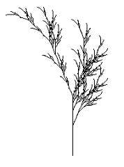 Branch-6