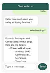 Screenshot of the chat dialog