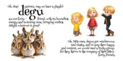 Pages 11-12