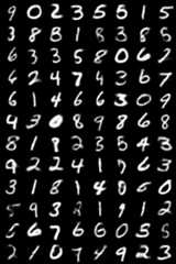 Placeholder9