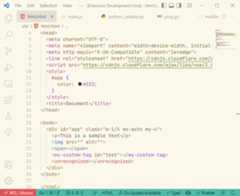 HTML