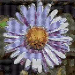 flor_imageified flor_imageified