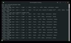 An image of the server application
