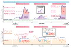 Data Overview
