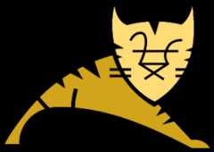 Apache Tomcat Icon