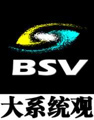 BSV Logo