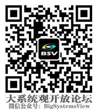 BSV WeChat Code