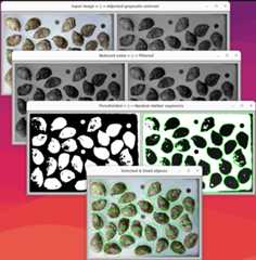 all size_it image windows