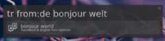 Screenshot showing translation from German with 'tr from:de bonjour welt'