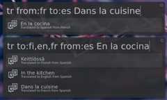 Screenshot showing that 'to:language' and 'from:language' can be used in any order