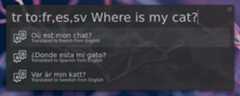 Screenshot showing translation into multiple languages with 'tr to:fr,es,sv Where is my cat?'