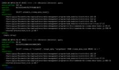 Log Roarr pretty-print output.