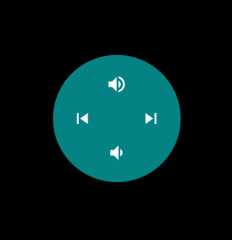 Android Wear controls
