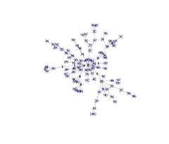 toy graph