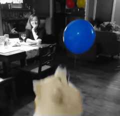 Balloon Color Splash