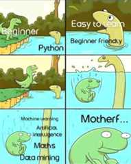 The Python Experience