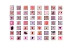 Datasets