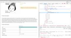 Product information in Developer Tools