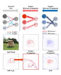 Relative_Attributing_Propagation