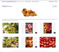 Searching Images with an Image 2