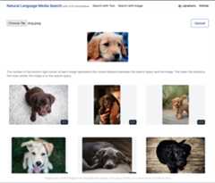Searching Images with an Image 4