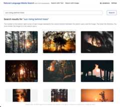 Searching Images with text 3