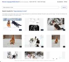 Searching Images with text 1