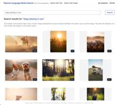 Searching Images with text 1
