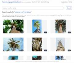 Searching Images with text 4