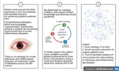 graphical abstract