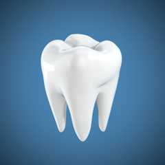 Tooth1024.jpeg This image failed to load. It may be due to the file not being reached, or a general error. Reload the page to fix a possible general error.