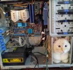 Computer cat