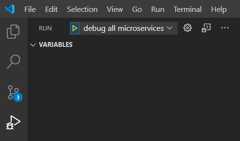 debug all micro services