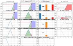 Detailed Rule Activation