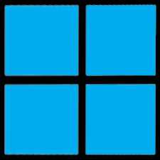 w11-icon