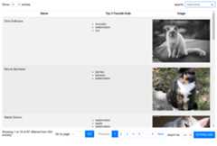 Vue Data Table Demo 3