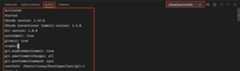 Debug instruction