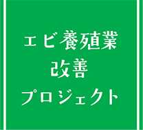 エビ養殖業改善プロジェクト