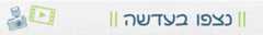 באנר נצפו 