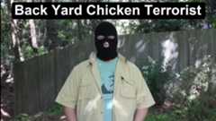 back yard chicken terrorist