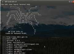 Sublist3r in action Sublist3r