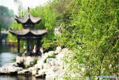 Spring scenery along moat in Jinan, east China