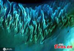 NASA’s knock-out photography competition features amazing pictures of Earth 