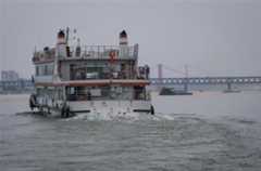 Wuhan restores operation of ferries after lifting outbound travel ban